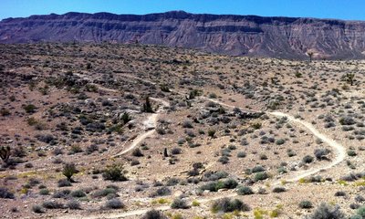 Another great view of Bears Best snaking around through the Joshua Trees