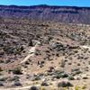 Another great view of Bears Best snaking around through the Joshua Trees