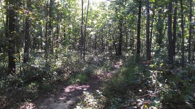 The road less travelled.