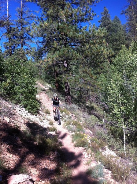 Descending a portion of the Rainbow Rim trail.