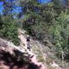 Descending a portion of the Rainbow Rim trail.