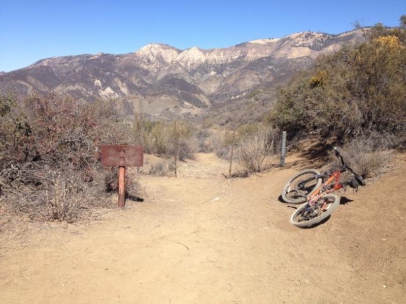 Top of the 19 oaks trail.  There is non-motorized access to the right of the fence.