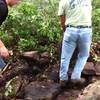 SMCC volunteers armoring the new switchbacks