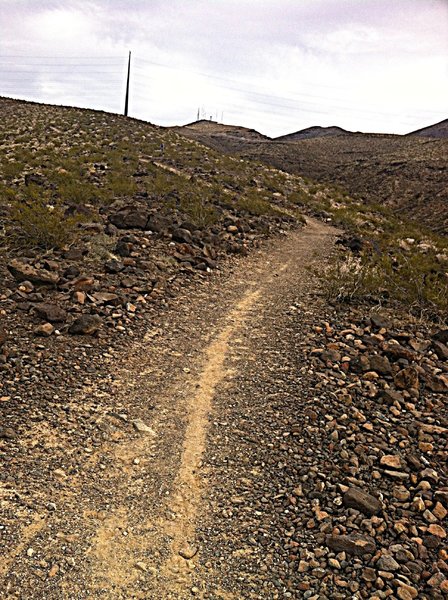 Typical singletrack"ish" riding on The Anthem East Trail