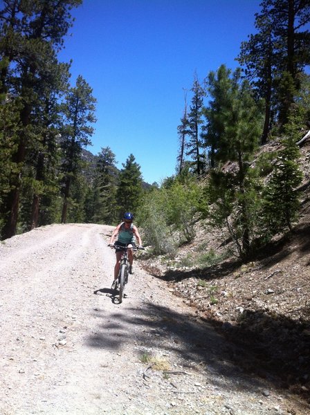 Huffing up the fire road climb