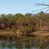 Pulpit Trail Overlooking the Lake and a view of Neale's sonmewhere in the trees.