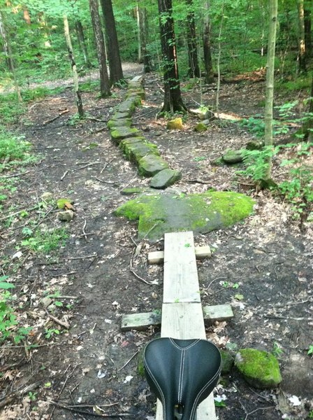 Log ride at beginning of Alternate Advanced Trail