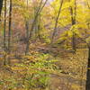 Eddington Creek crossing. There is a very nice bridge across and you can see the trail on opposite sides.