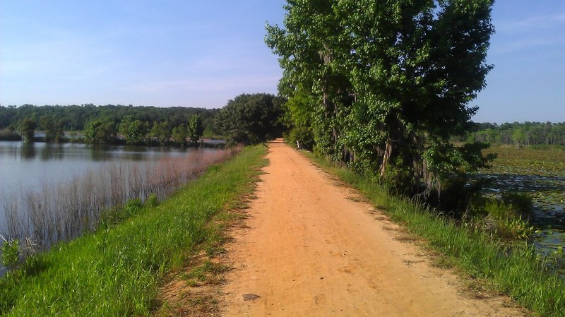 On the dike between Piney Z Lake and Lake Lafayette