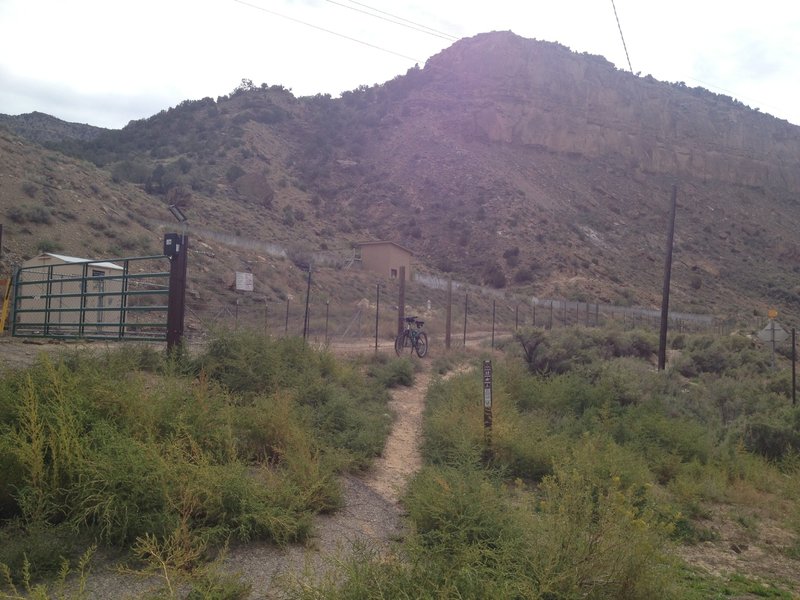 Trail begins up this singletrack next to an irrigation ditch