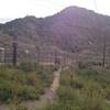 Trail begins up this singletrack next to an irrigation ditch