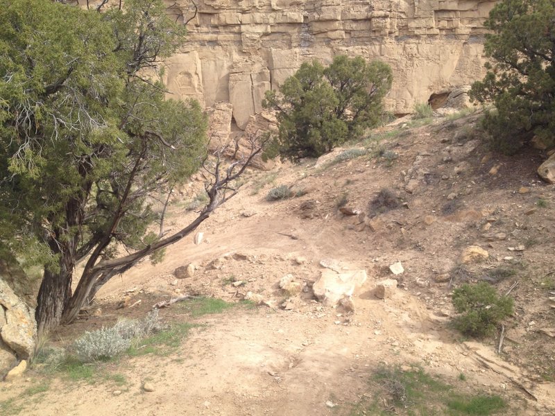 Berm'd up turns on the initial climb/decent