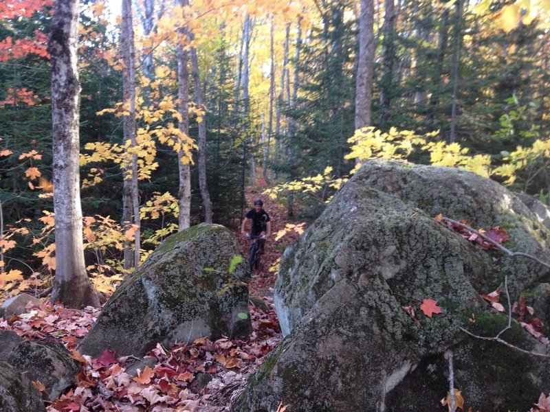 Splitting the rocks on Ten Times Trail.