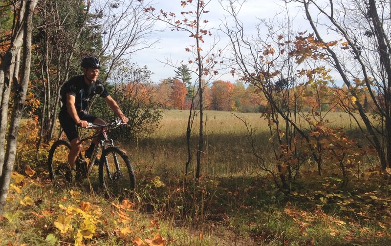 Skirting the meadow on Porcupine Loop.