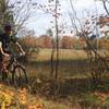 Skirting the meadow on Porcupine Loop.