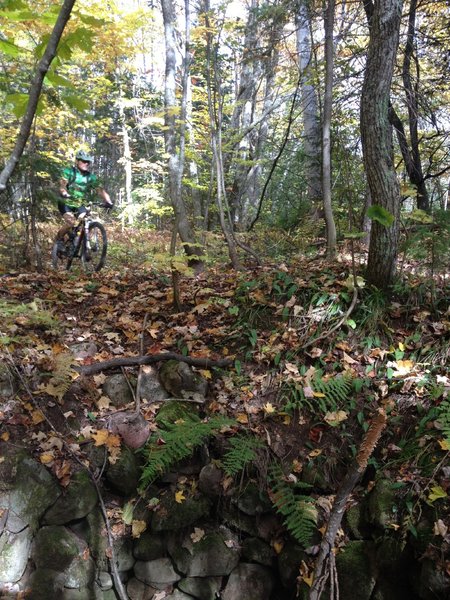 Past the well on Farmer's Well Trail.