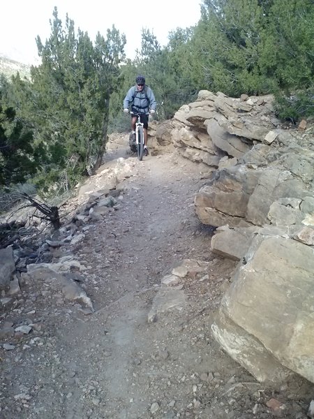 Fun ledge section on the lower part of the trail