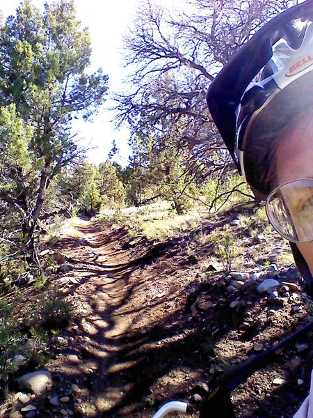 Fine singletrack on dirt with few rocks