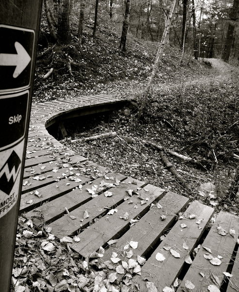 This fun little bridge is the beginning of Skip, on your way to Timber Shaft- a super technical haven for skilled riders.