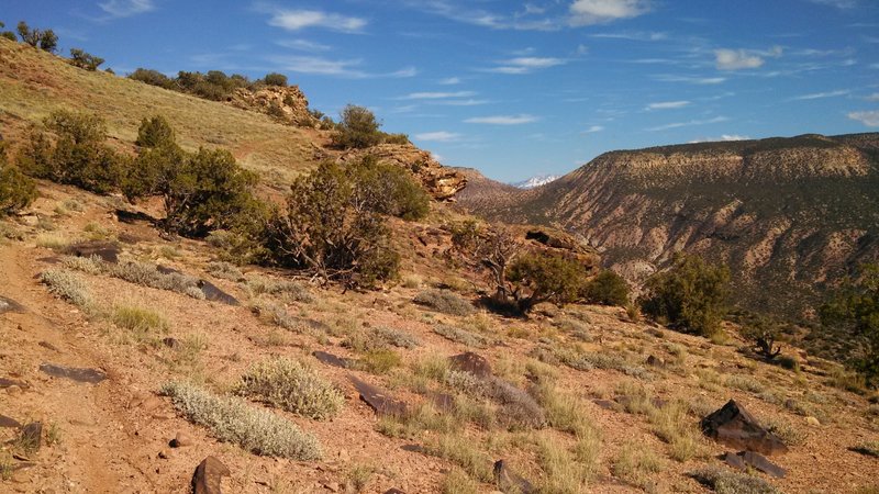 Steep climbs and descents along the rim of the Gunny Gorge