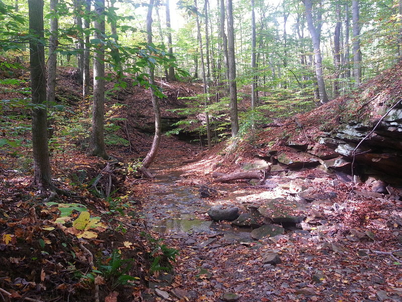 Trail uses the stream bed