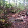 Trail uses the stream bed