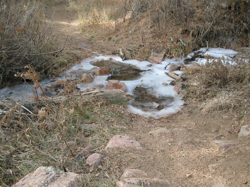 The beginning of winter on Falcon Trail