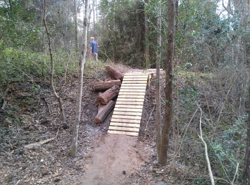 The first ladder going down the ridge line.