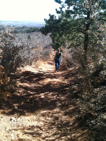 Some of the fastest sections of trail will have obstacles like this to slow down for and avoid.