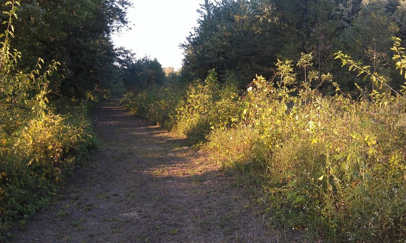 River bottom doubletrack.