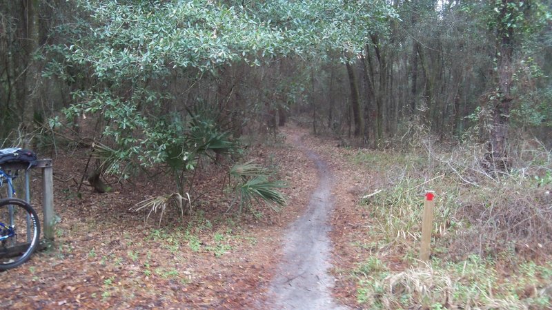 WKC South trailhead.