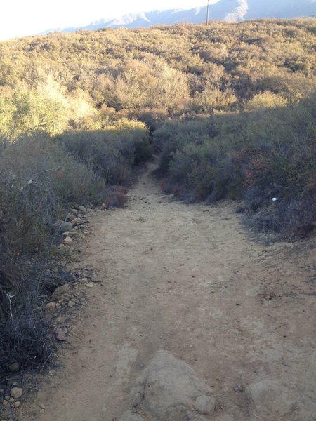 Looking down one of the steeper sections