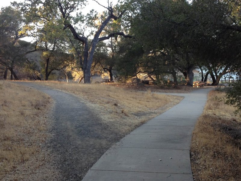 This is the east end of the trail.  The main trail heads off left while the paved path goes towards a picnic area and fishing pier (water level permitting).