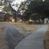 This is the east end of the trail.  The main trail heads off left while the paved path goes towards a picnic area and fishing pier (water level permitting).