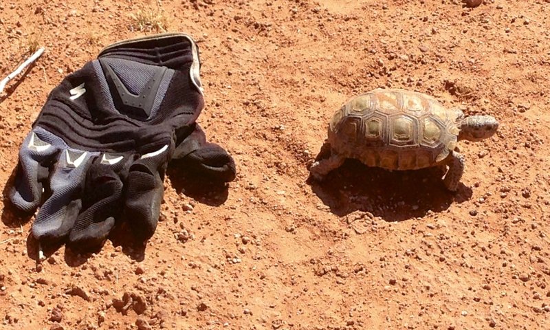 Be courteous to other trail users.