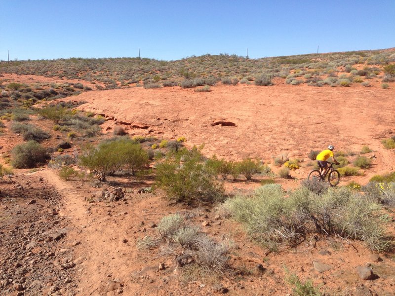 Intersection where Dino Cliffs branches off from the Prospector trail.