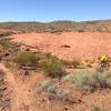 Intersection where Dino Cliffs branches off from the Prospector trail.