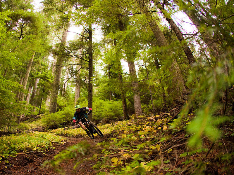 Lots of flow on the Jedi section of Alpine