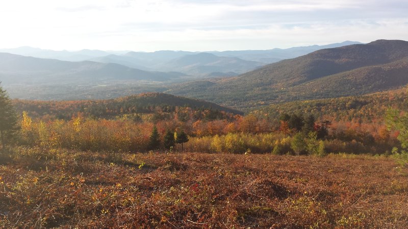 Southern Presidentials