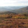 Southern Presidentials