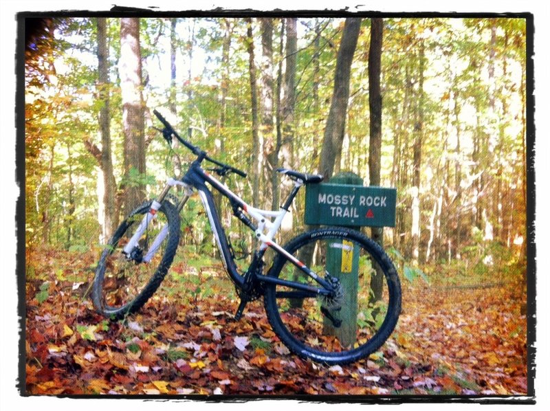 Trail marker at top of Mossy Rock