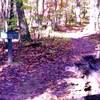 Marker where Middle Ridge meets gas road at the top of Pool Hill Climb