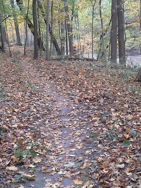 Skirting along Quarter Run Creek