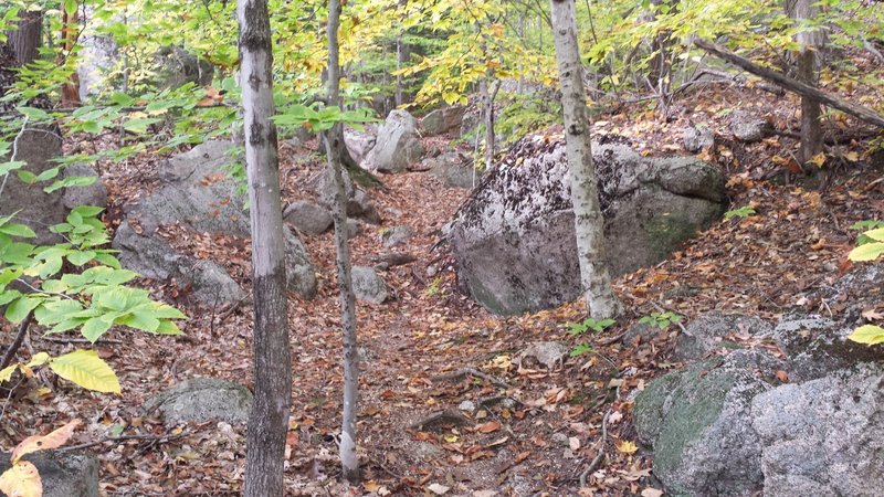 Final rocky section on eastern side of lollipop