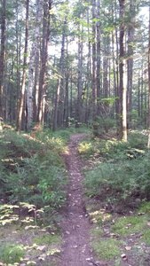 Mellow