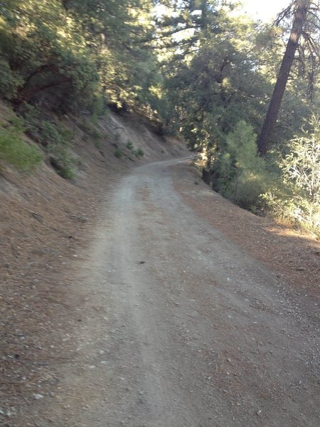 Heading down the East Pinery Road