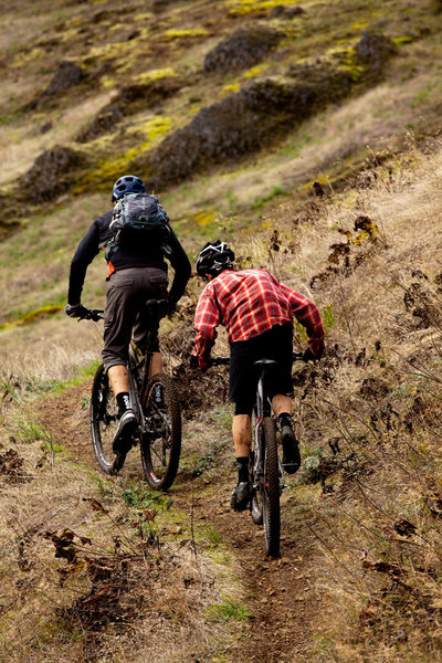 Across the open grassy hillsides on Tire Mountain