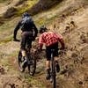 Across the open grassy hillsides on Tire Mountain