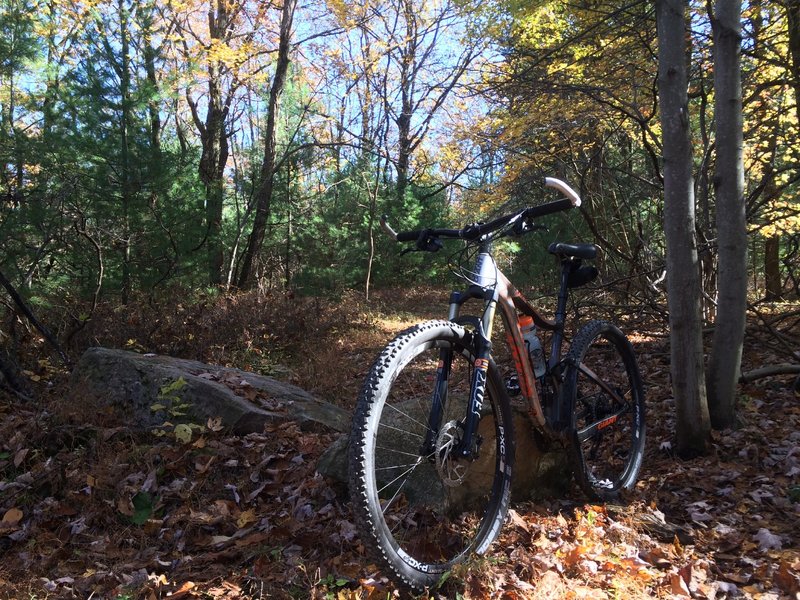 Horse Path Trailhead