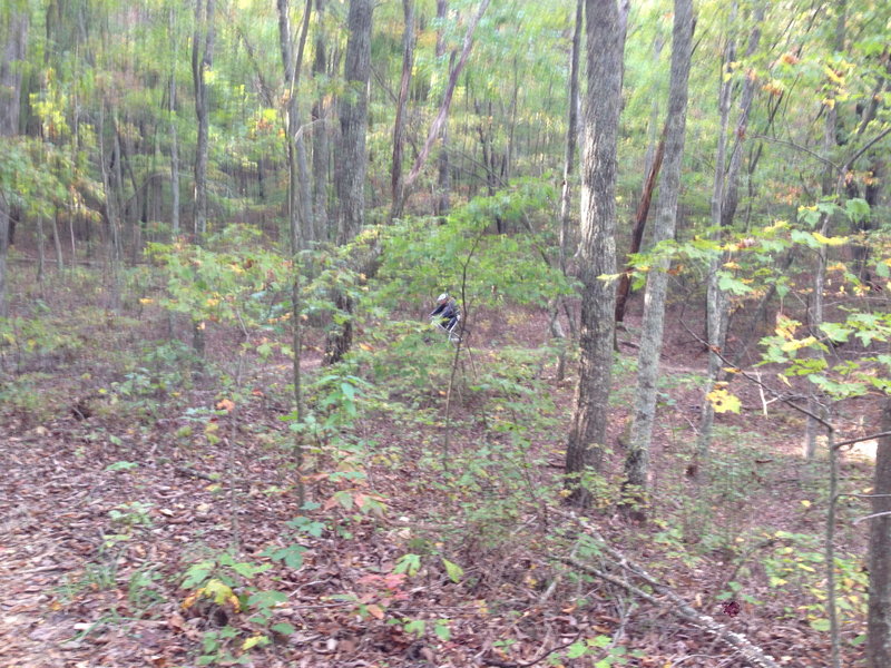 Typical scenery along the Peace Can Trail, plus another cyclist!